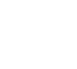 Auto Fire Prevention: Must-Have Accessories For Ferry Boat