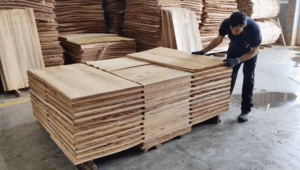 eucalyptus veneer in Brazil