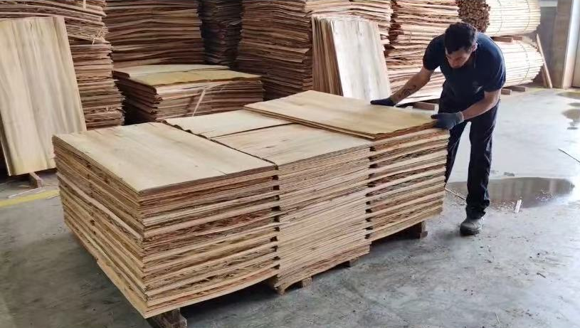 eucalyptus veneer in Brazil