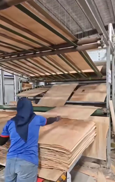 2 in 1 veneer dryer