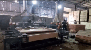 Automatic Heavy Duty Plywood Double Sizer