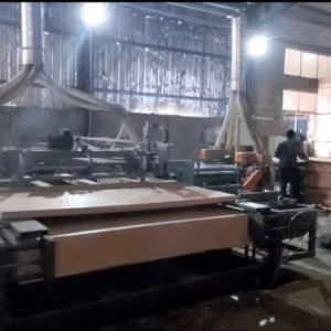 Automatic Heavy Duty Plywood Double Sizer