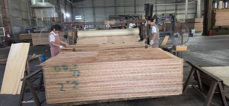 Vietnam plywood factory