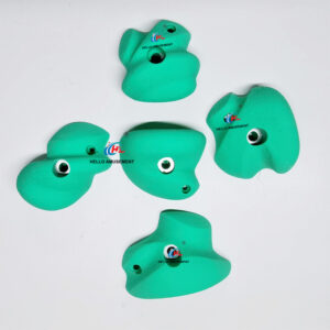 Climbers Kids Rock Climbing Wall Holds 1