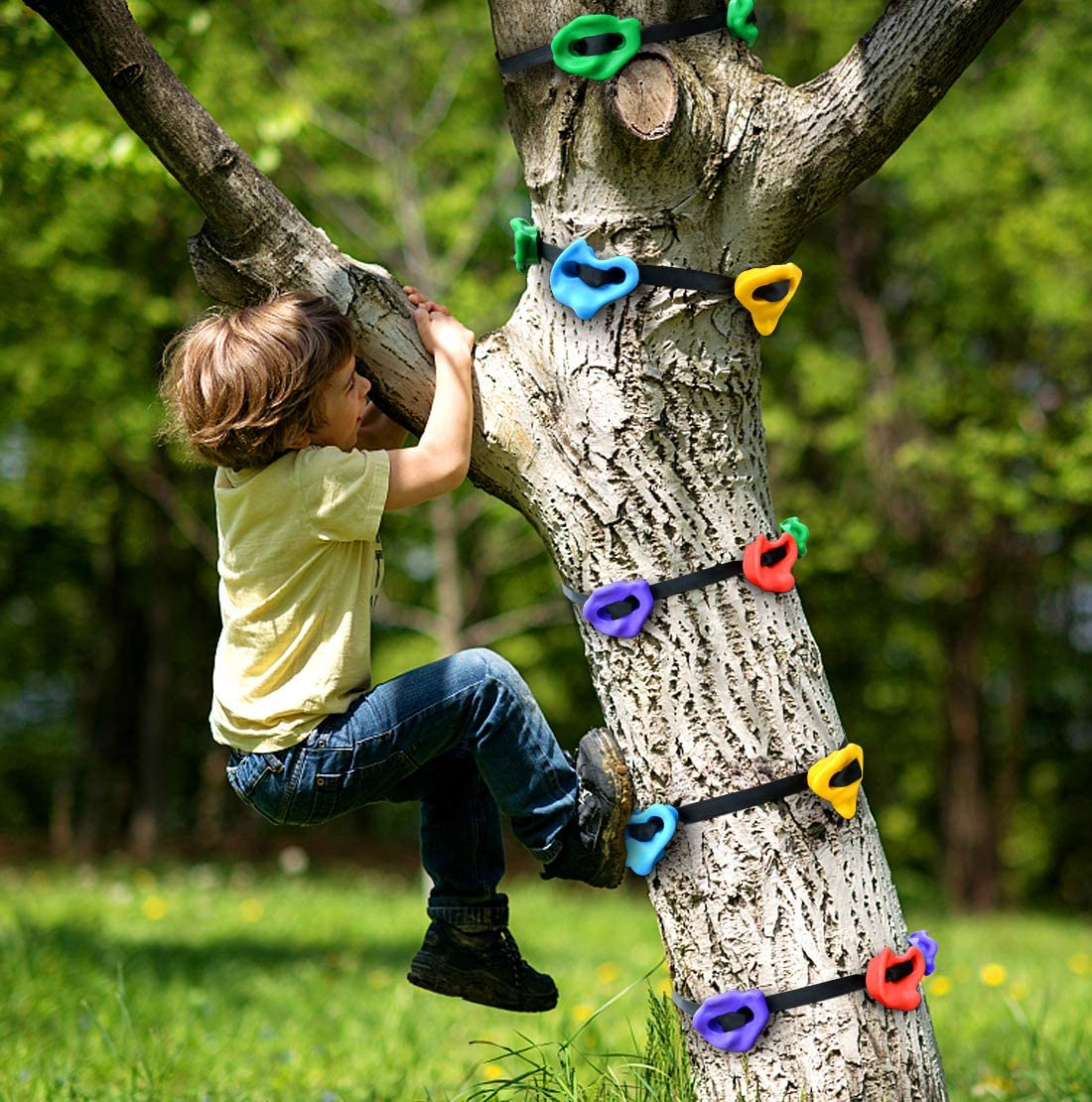 Ninjia tree climbers rock climbing holds
