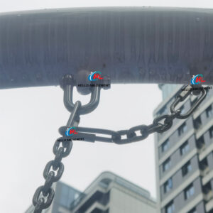 Stainless Steel D shackle Arch Shackle 11